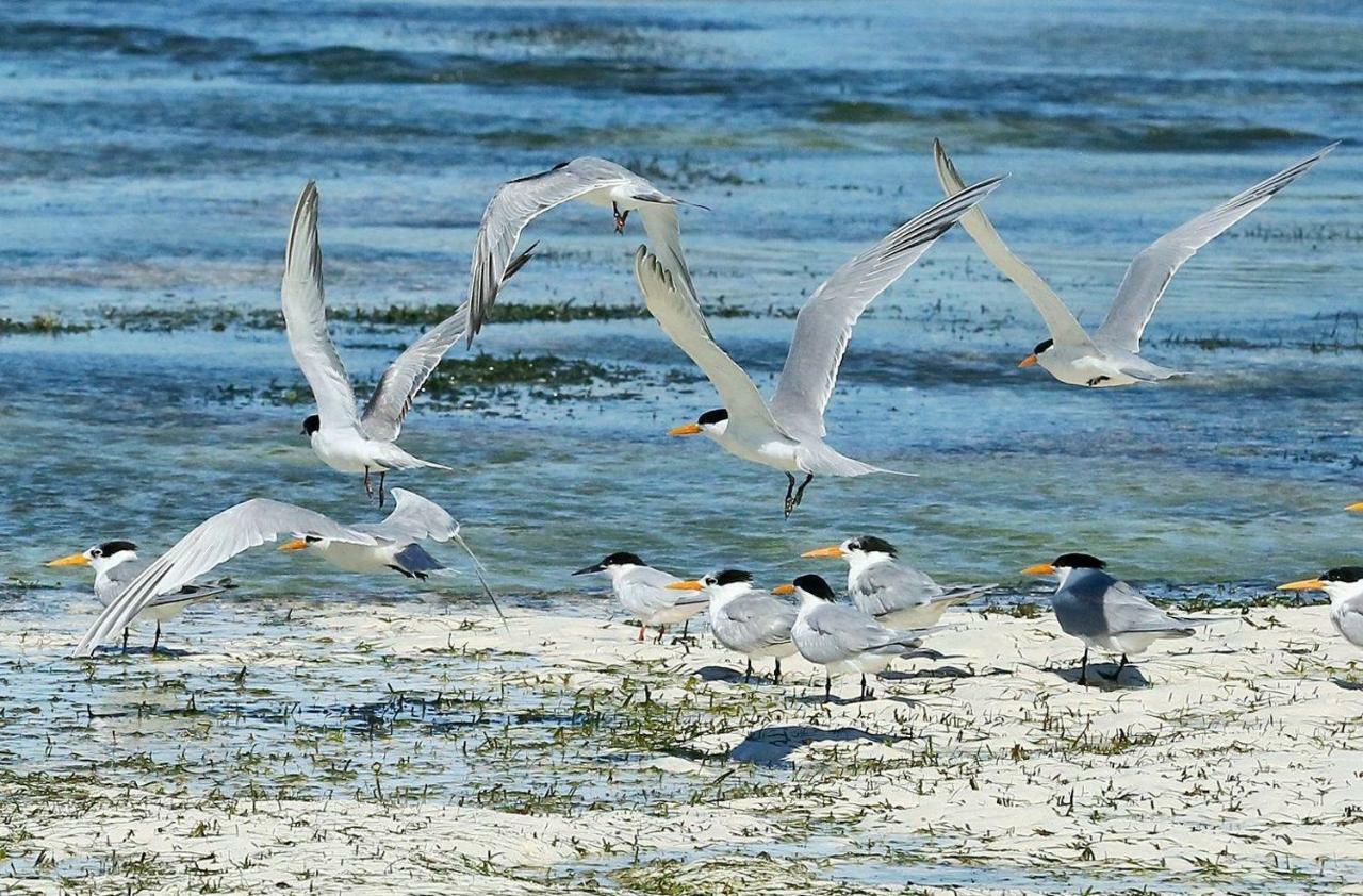 Rafiki Village Watamu Eksteriør bilde