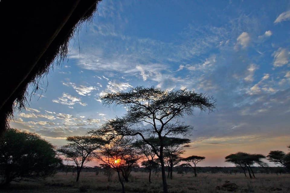 Rafiki Village Watamu Eksteriør bilde